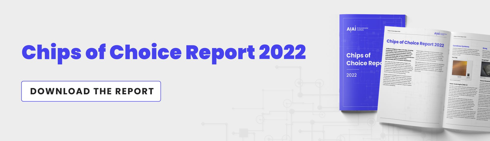 Banner to download the Chips of Choice 2022 Report